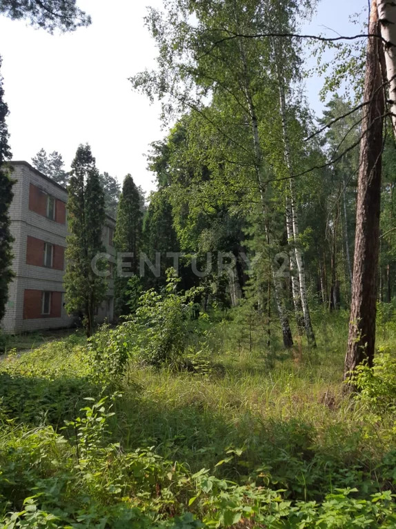 Продажа ПСН, Колодезское, Задонский район, ул. Солнечная - Фото 3