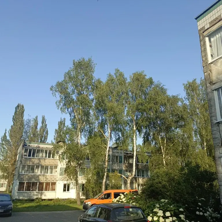 3-комнатная квартира в п.свх.Буденновец - Фото 10