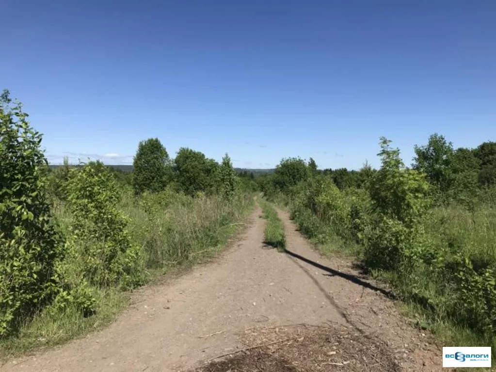 Малиновый прут. Д.Городище Пермский край Добрянский.