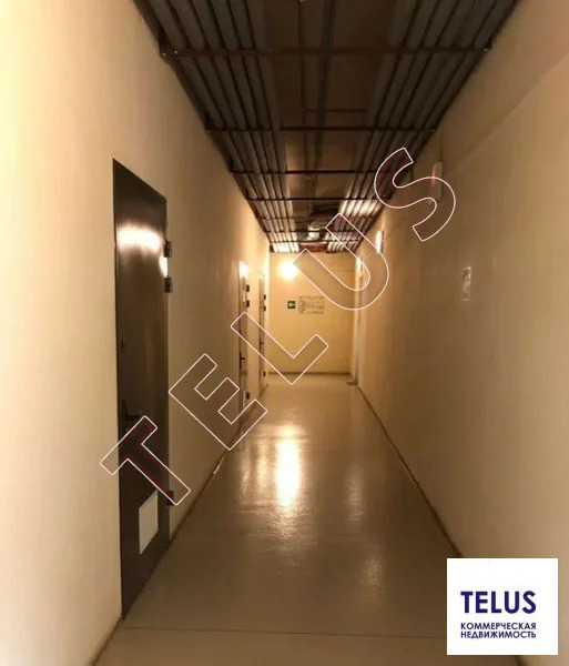 МО, Истра, д Ябедино, 4000 м2, Производственное здание (ном. объекта: ... - Фото 5