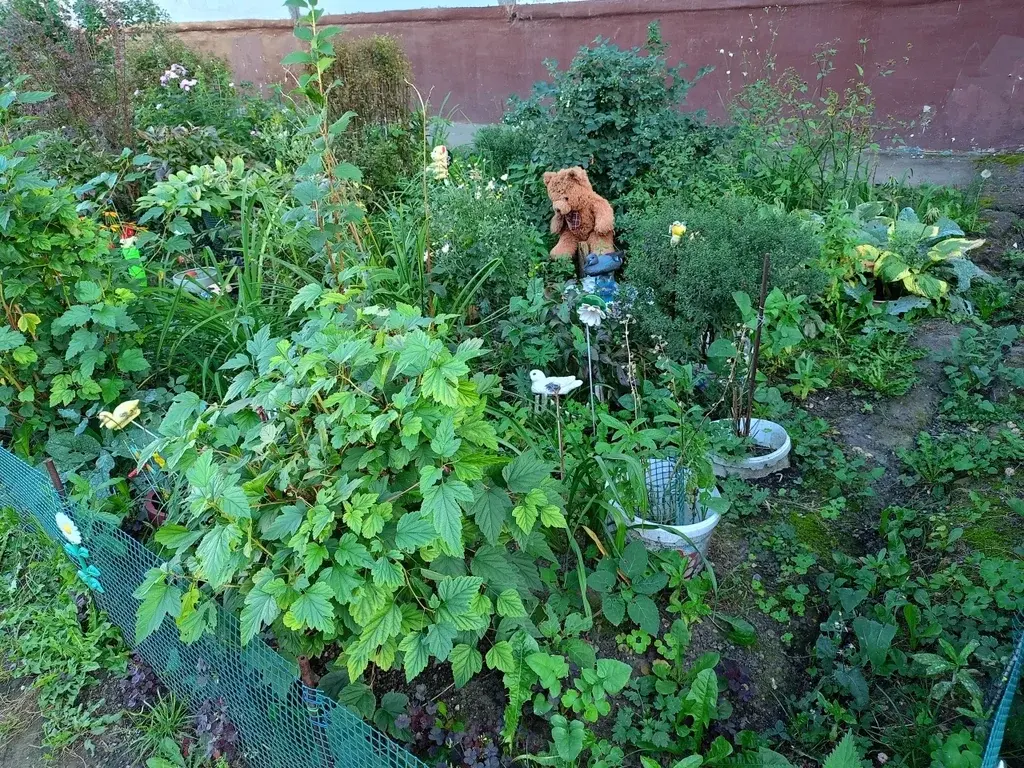 3-ка, Щелково, Пустовская, 18 - Фото 5