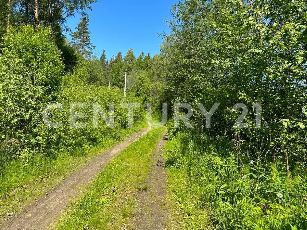 Продажа земельного участка, Приозерский район, Массив Мельниково тер. - Фото 11