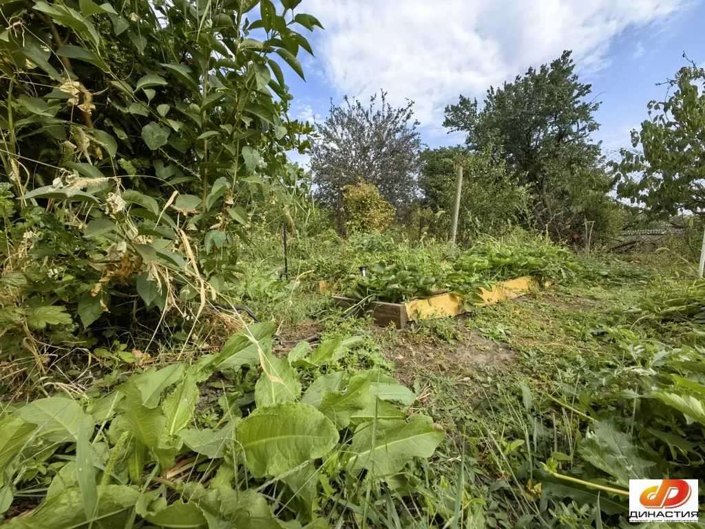 Продажа дома, Старомарьевка, Грачевский район, ул. Лермонтова - Фото 21