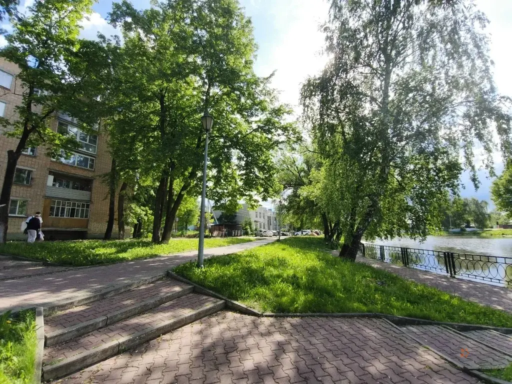 Продается 4-комнатная квартира Чехов, Набережная, д. 5 - Фото 34