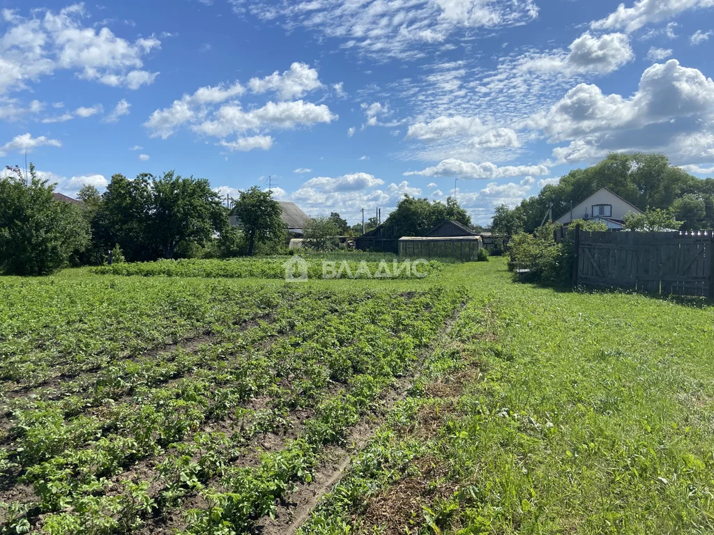 Суздальский район, село Сельцо, Центральная улица,  дом на продажу - Фото 8