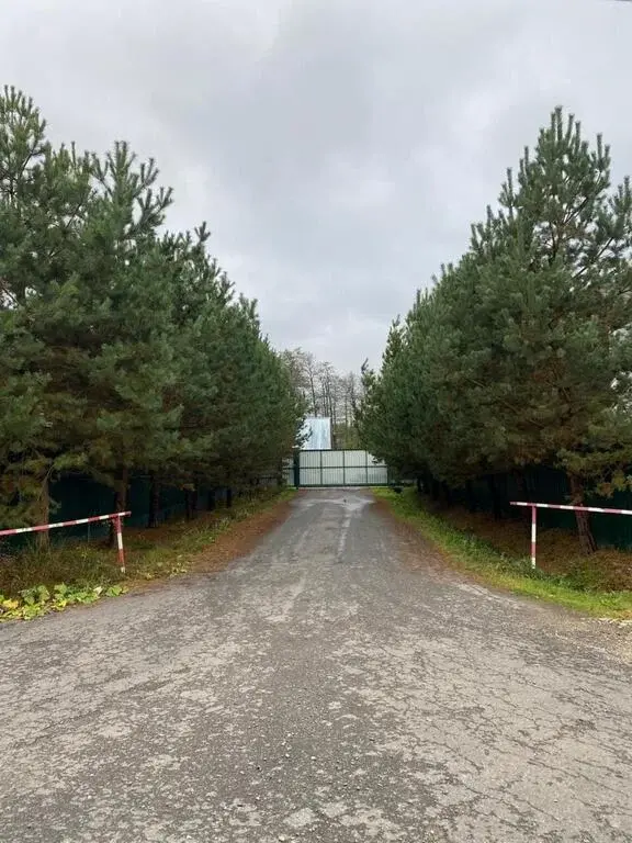 Дом 465 м на участке 10,5 сот. в Лесном Массиве маленькая Барвиха - Фото 42