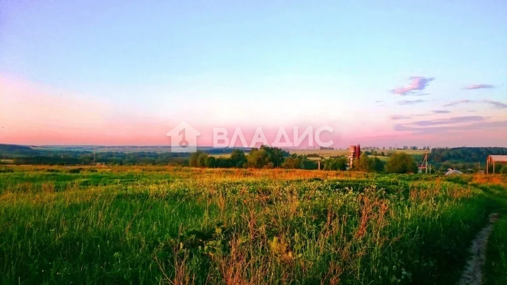 Суздальский район, село Сновицы, улица Леонова,  земля на продажу - Фото 3