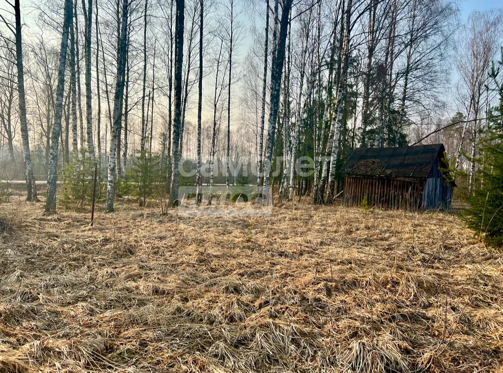 Продажа участка, Талдом, Талдомский район - Фото 9