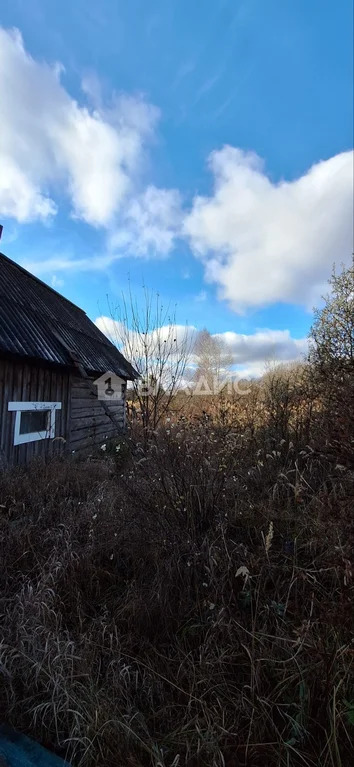 Гусь-Хрустальный район, село Колпь, Речная улица,  дом на продажу - Фото 27