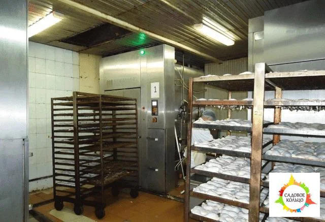 Сдается действующий, оснащенный мясоперерабатывающий завод - Фото 29