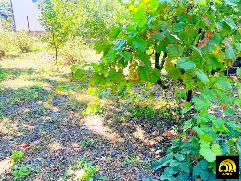 Продажа дома, Гостагаевская, Анапский район, ул. Пионерская - Фото 9