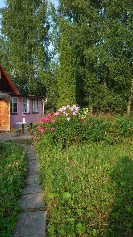 Продажа дома, Чухолово, Шаховской район - Фото 4