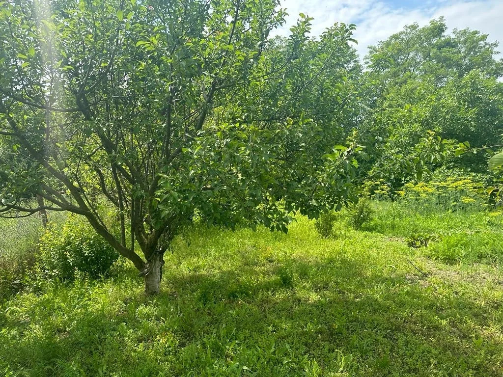 Продается дом, 184.2 м - Фото 37