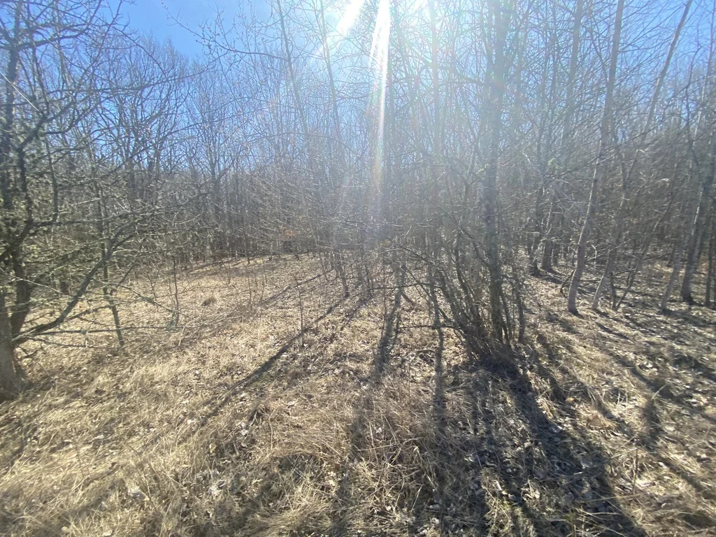 Продажа участка, Калужская, Северский район, улица Супская - Фото 9