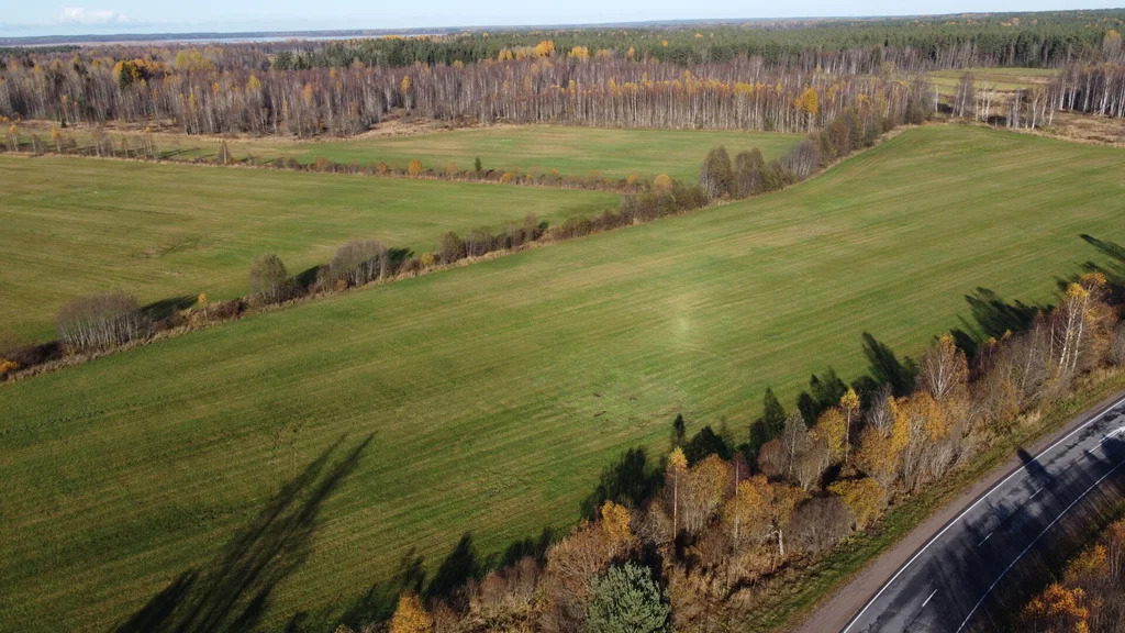 Продажа участка, Правдино, Выборгский район - Фото 13