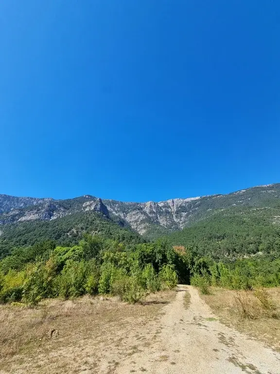 Уникальный участок, у горной реки - Фото 2