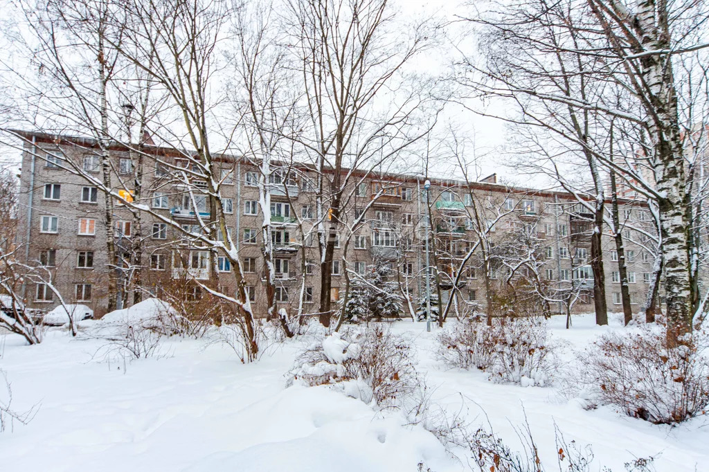 Санкт-Петербург, Гданьская улица, д.6, 2-комнатная квартира на продажу - Фото 13