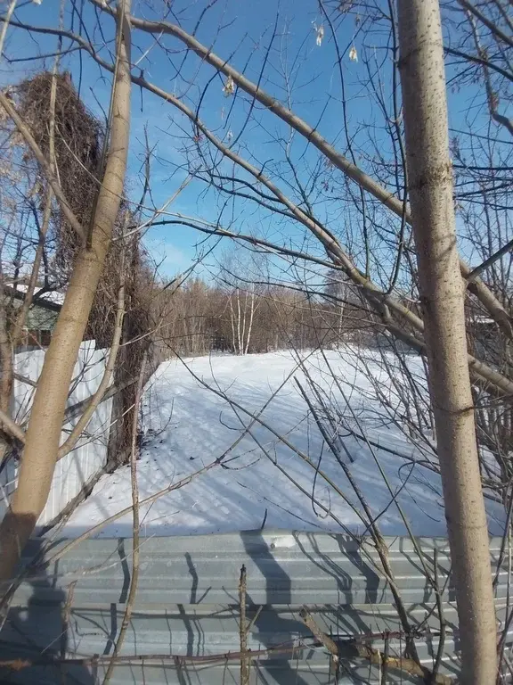 Участок 12 соток. д.Пехорка, Люберецкий р-н - Фото 4