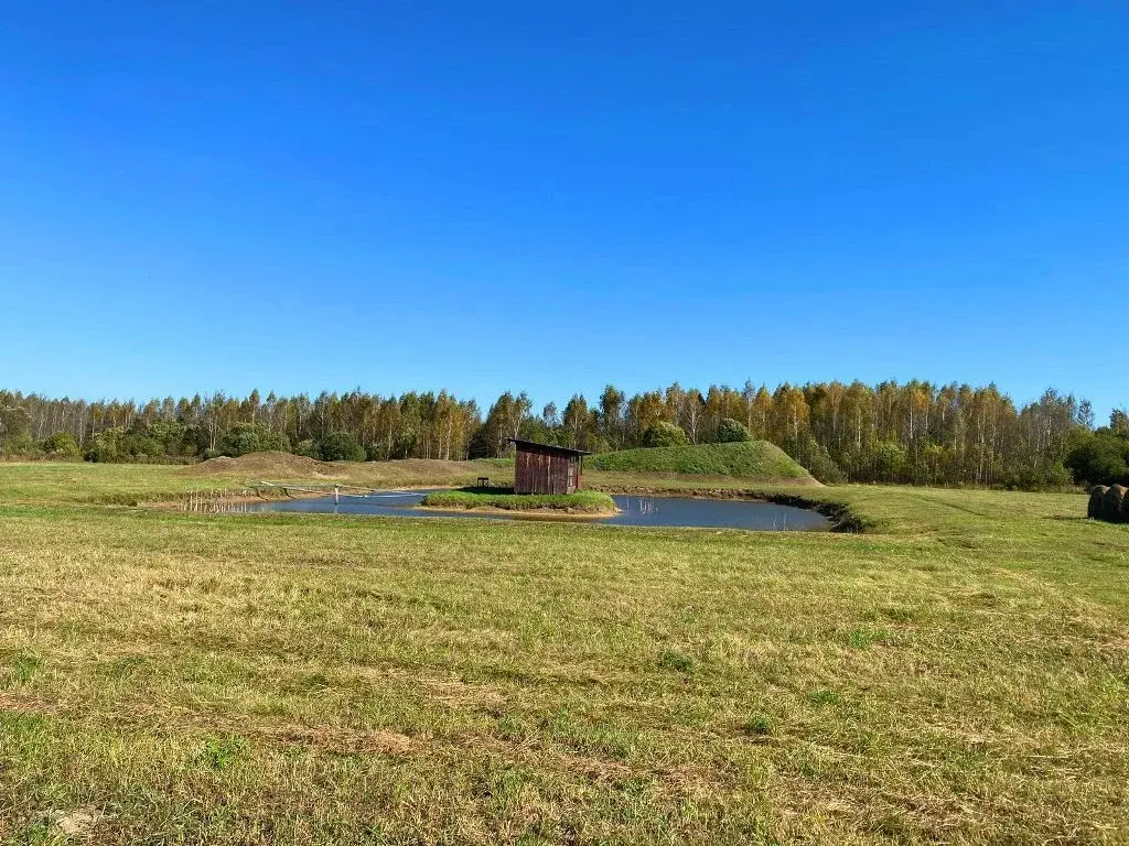 Дом в деревне Пановская - Фото 24