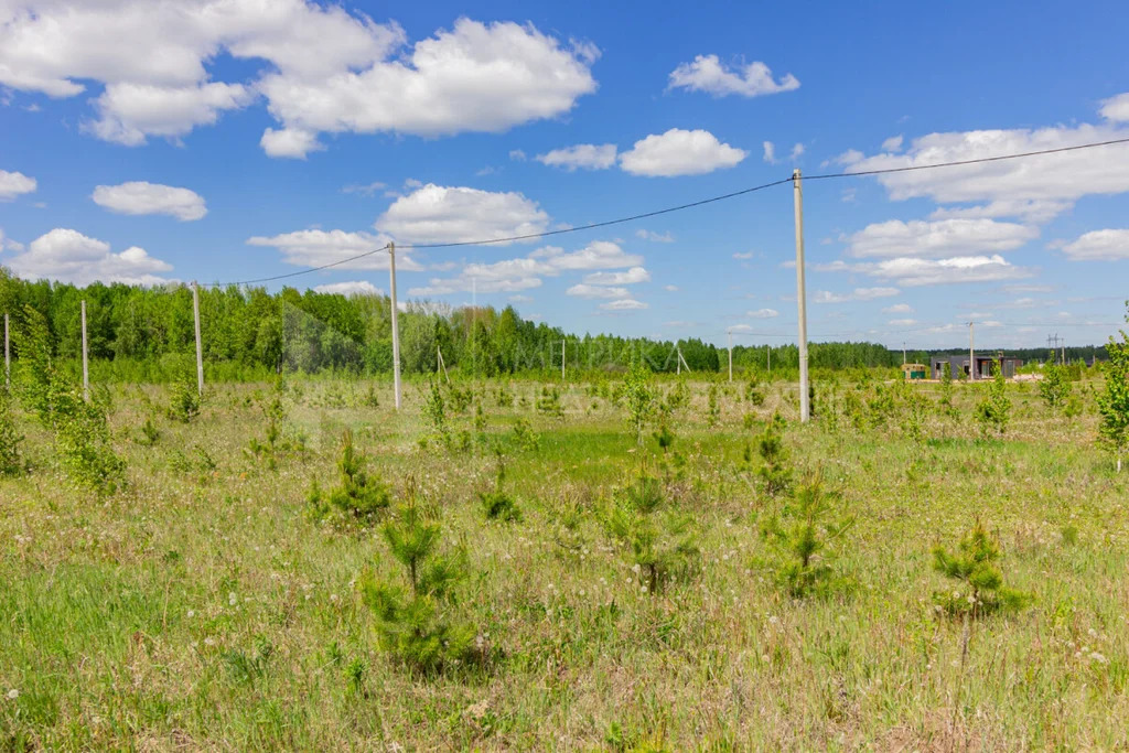 Продажа участка, Кичино, Шекснинский район, Шекснинский р-н - Фото 4