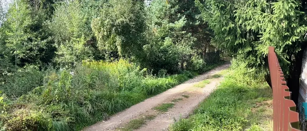 Участок коньково