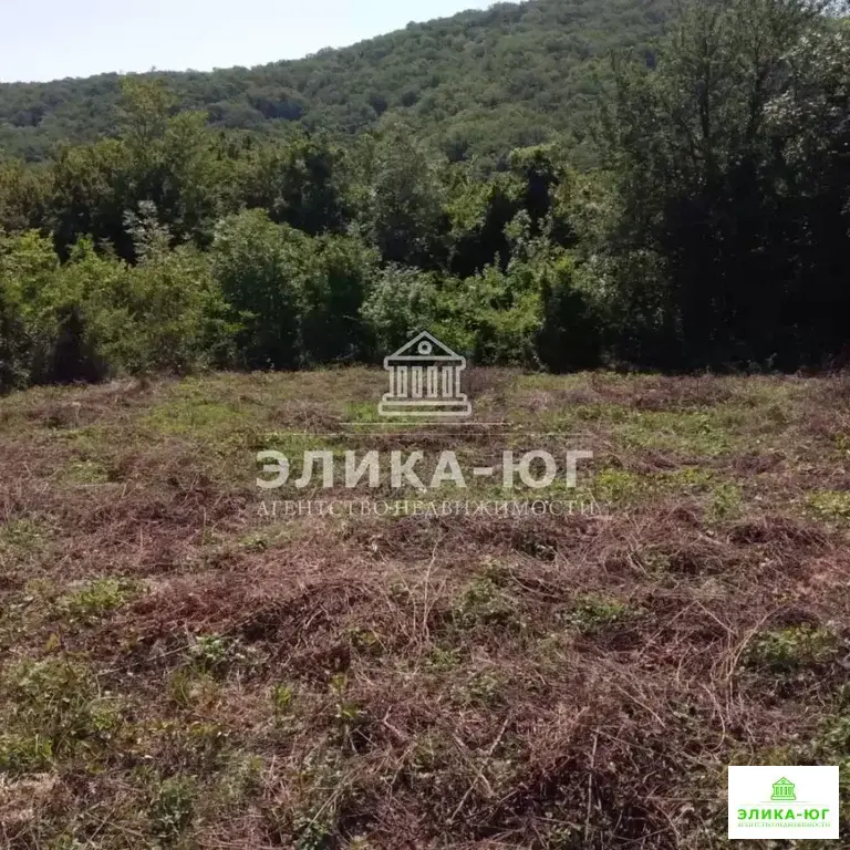 Продажа участка, Пляхо, Туапсинский район, Молодежный кв-л. - Фото 4