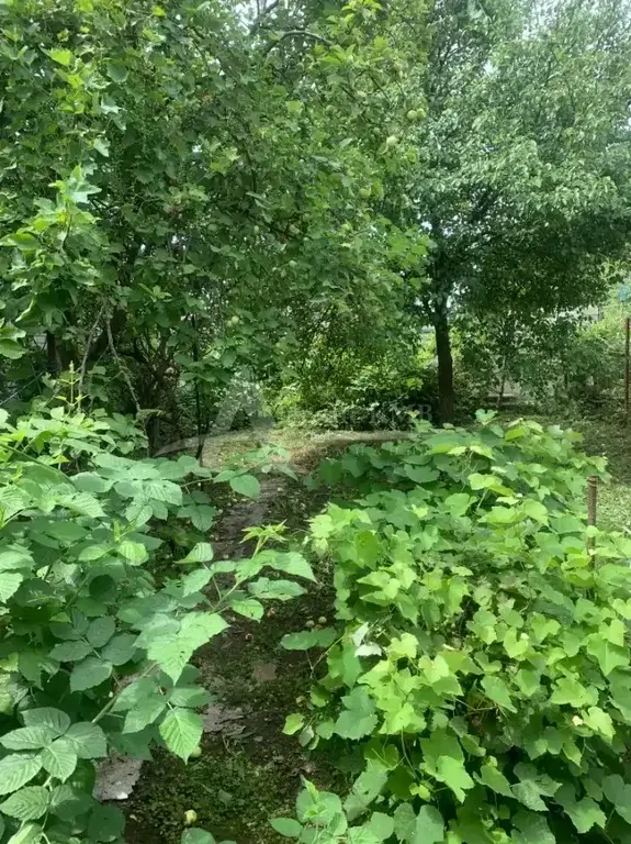 Продажа дома, Георгиевск, ул. Чапаева - Фото 17