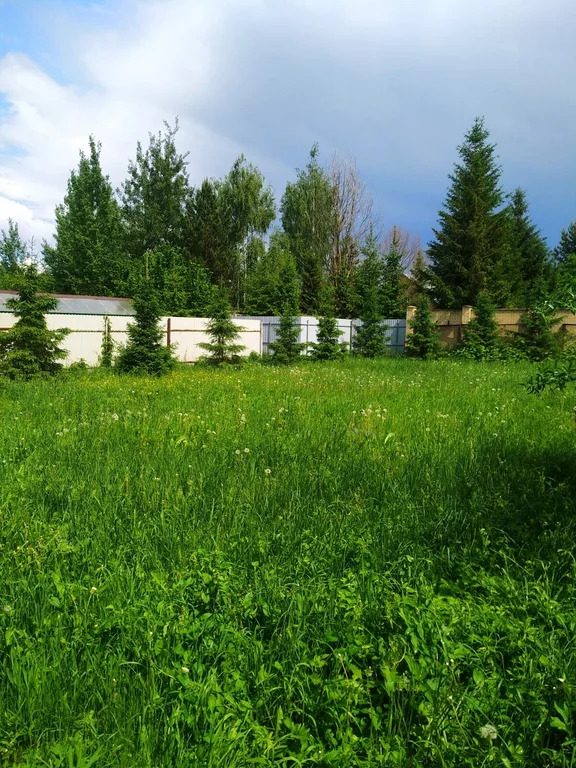 Продажа участка, Николо-Урюпино, Красногорский район, ул. Липовая - Фото 1