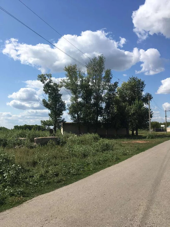 Вязовка волгоградская погода. Село сухая Вязовка. Село Вязовка Самарская область. Сухая Вязовка Самарская. Самара сухая Вязовка.