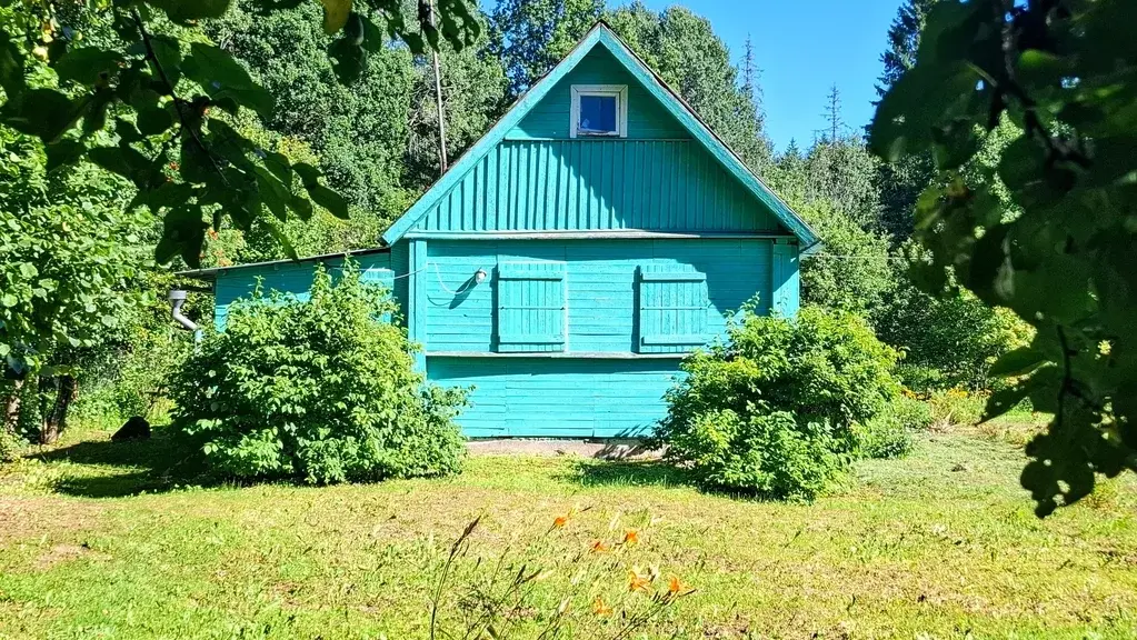 Очень уютный хуторок в лесной роще под Псковом - Фото 12