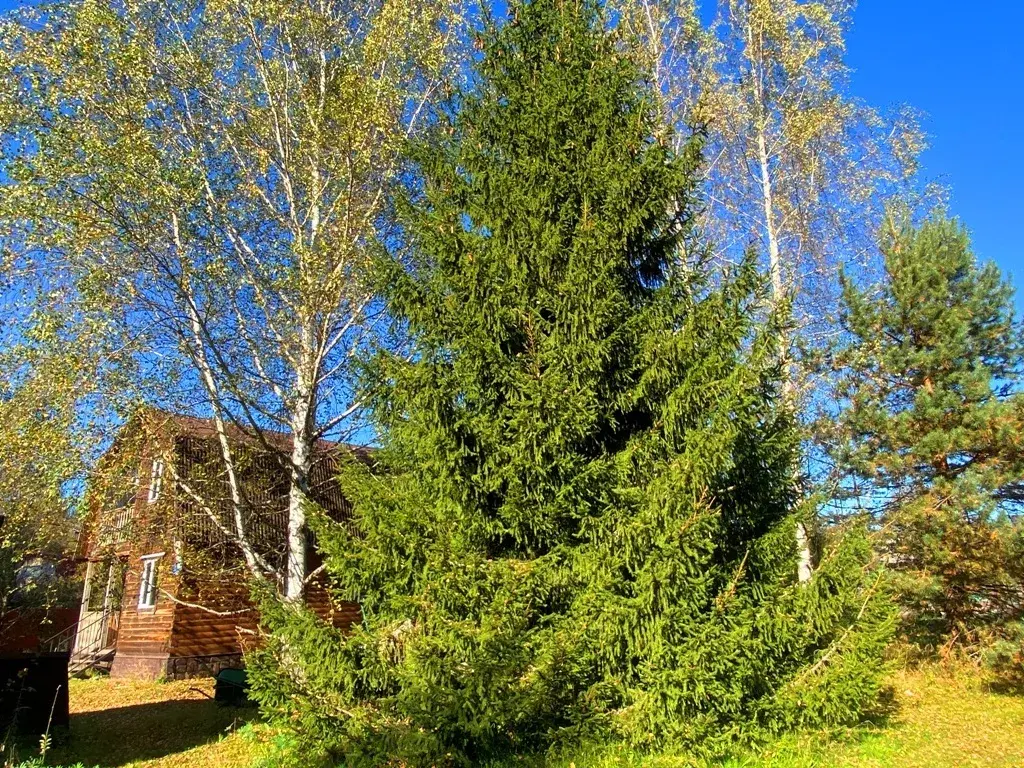 Дача в СНТ Ромашка - Фото 18