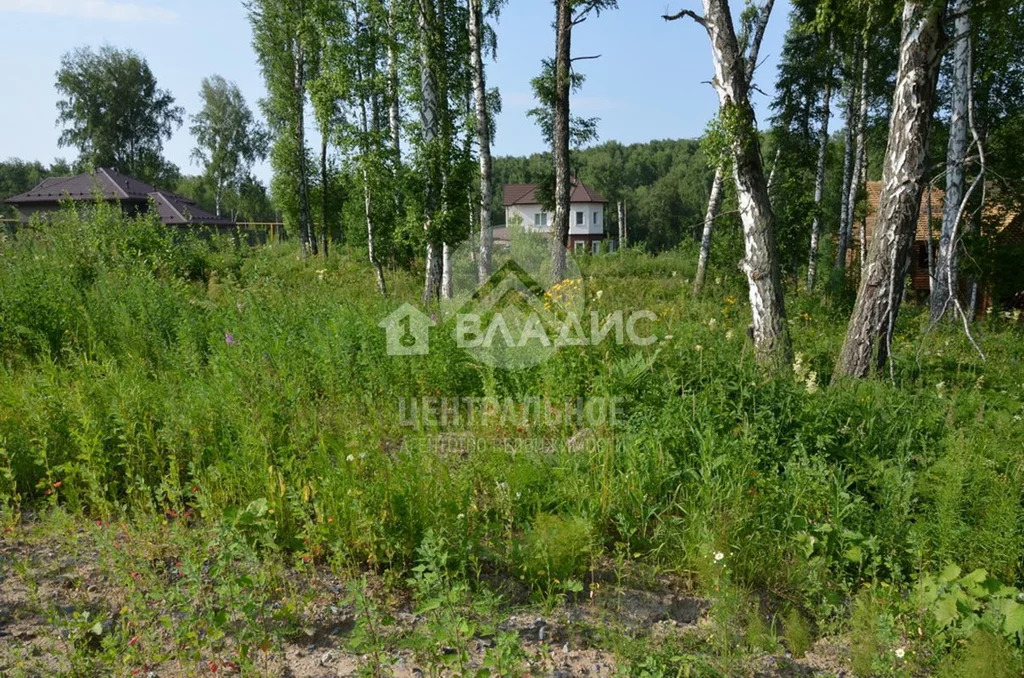 Новосибирский район, посёлок Садовый, жилмассив Ключевой, Берёзовая . - Фото 0