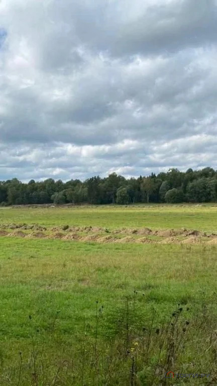 Продажа земельного участка, Горки, Ломоносовский район - Фото 3