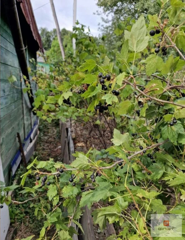 Продажа дома, Казань, садоводческое дачное товарищество Дружба - Фото 22