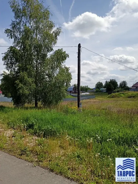 Продам участок в Панино Спасский район - Фото 4