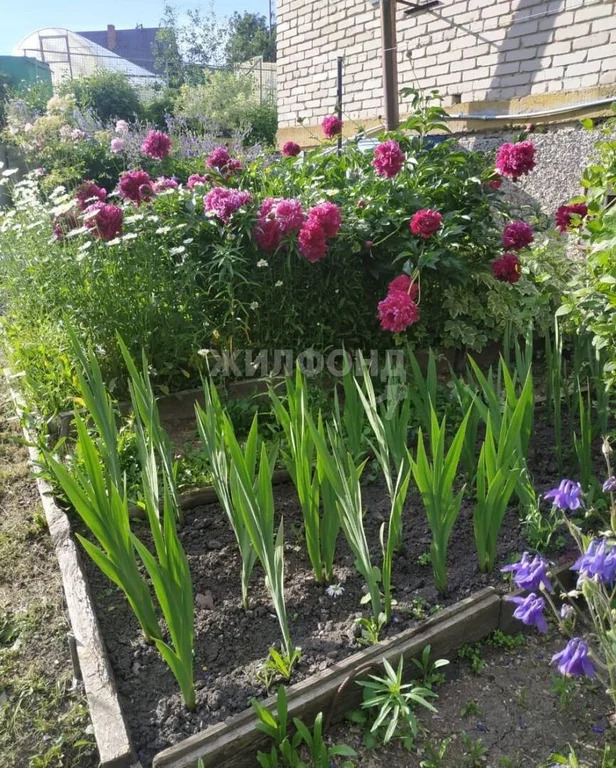 Продажа дома, Новосибирск, снт Ивушка - Фото 12