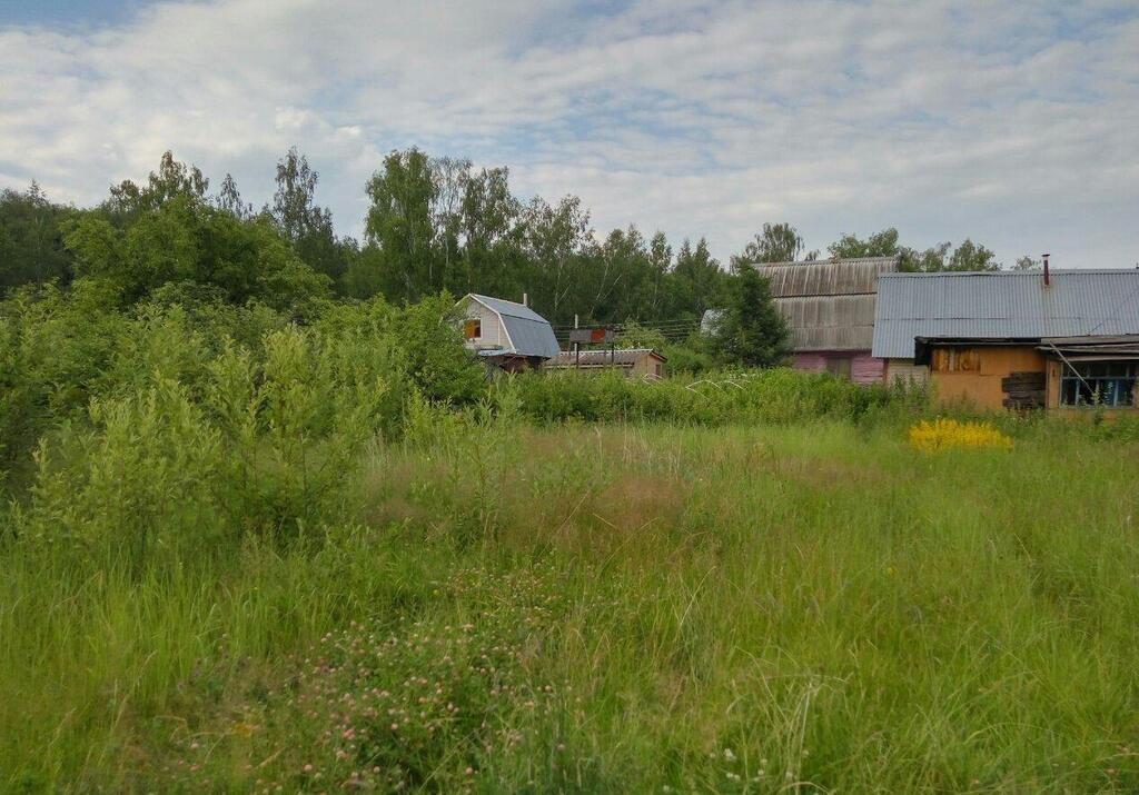 Снт лесное фото