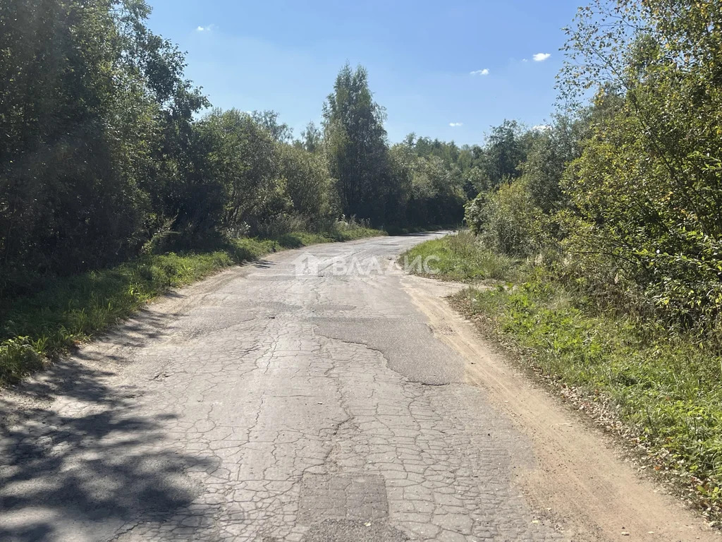 Собинский муниципальный округ, деревня Рыжково, Центральная улица,  ... - Фото 11