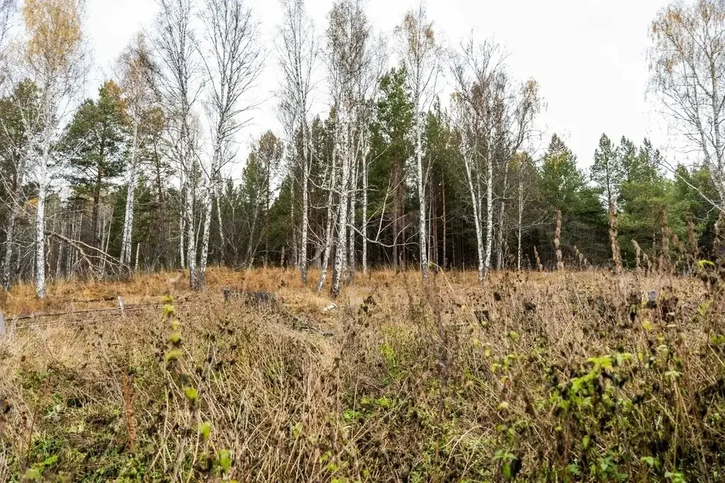 Дом в д. Бехтерева - Фото 47