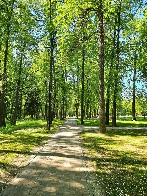 2х к.кв. в монолитном доме рядом с лесом в Москве, п.Воскресенское - Фото 2