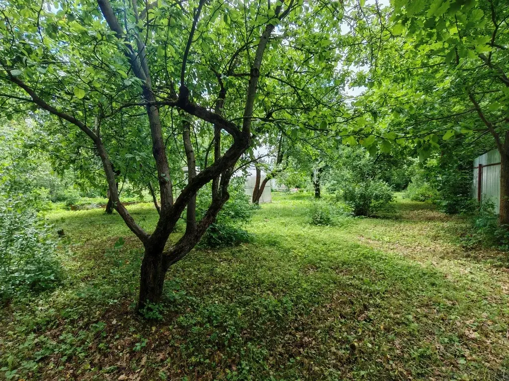 Продам дом в Лобне - Фото 9
