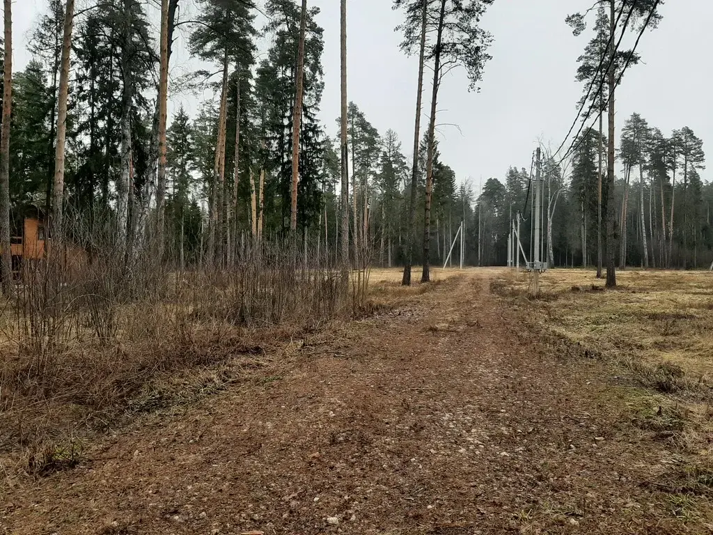 Продам участок ИЖС 13.74 сот. в с. Ивановское - Фото 5