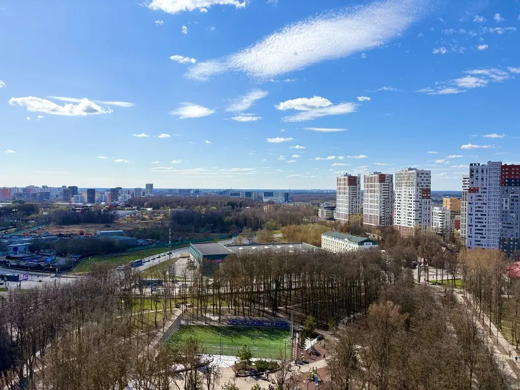 Продажа 1к.кв. в Коммунарке, Липовый Парк, 10к2 - Фото 21