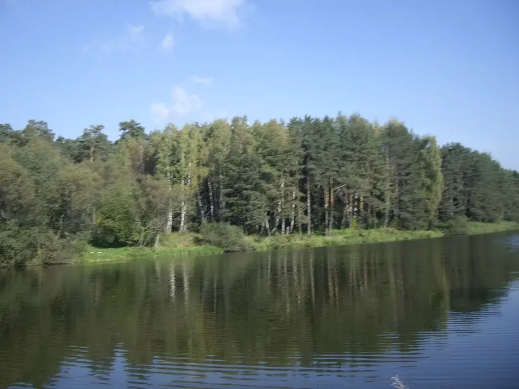 Лесной участок ИЖС в поселке на Новорижском ш. 9 км от МКАД - Фото 1