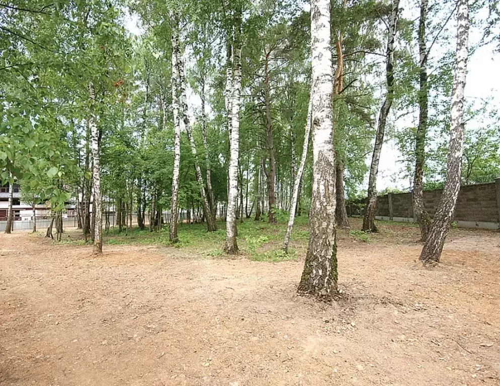 Лесной участок ИЖС в поселке на Новорижском ш. 9 км от МКАД - Фото 5