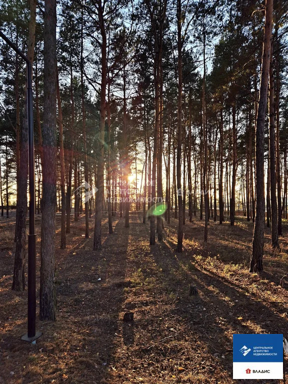 Продажа участка, Рязанский район - Фото 5