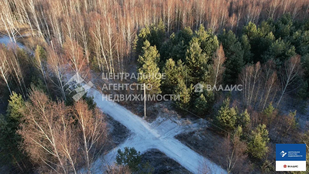 Продажа участка, Ярустово, Спасский район, ул. Лесная - Фото 6