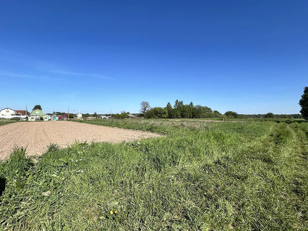 Продажа участка, Береговское, Талдомский район - Фото 7