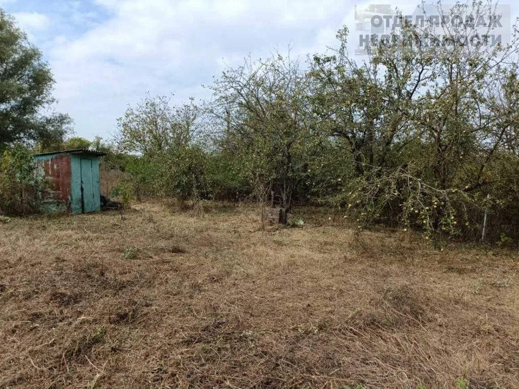 Дачный участок - Фото 4