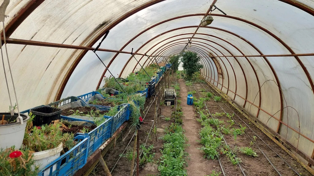 Продажа дома, Темрюк, Темрюкский район, ул. Горького - Фото 18